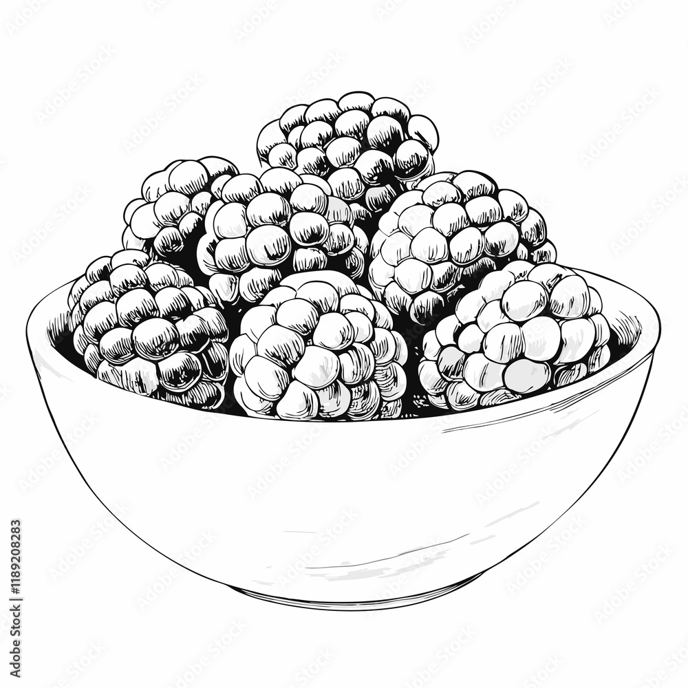 Bowl of blackberries, black and white illustration Bowl of blackberries, black and white illustration