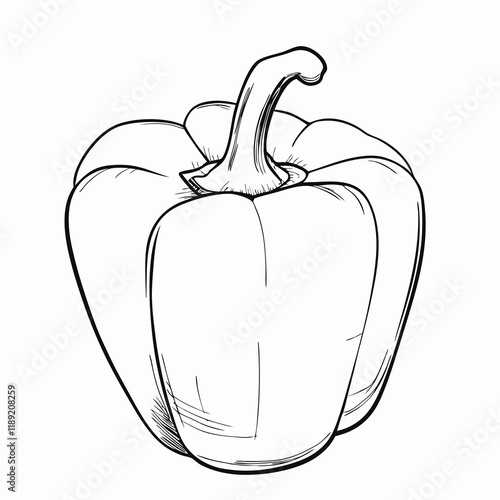 Bell pepper illustration in black and white sketch style