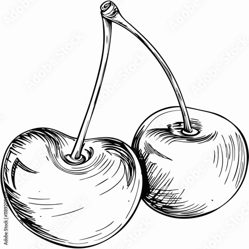 Two cherries with stems, black and white line drawing