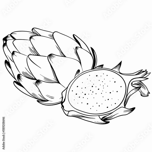 Whole and sliced dragon fruit in black and white illustration