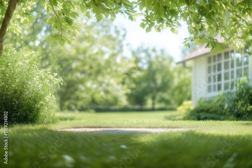 Fototapeta Naklejka Na Ścianę i Meble -  Sunny summer day in garden with blurry background. Rich green lawn stretches to house with light colored exterior. Soft sunlight filters through trees. Fresh green foliage, plants create natural,