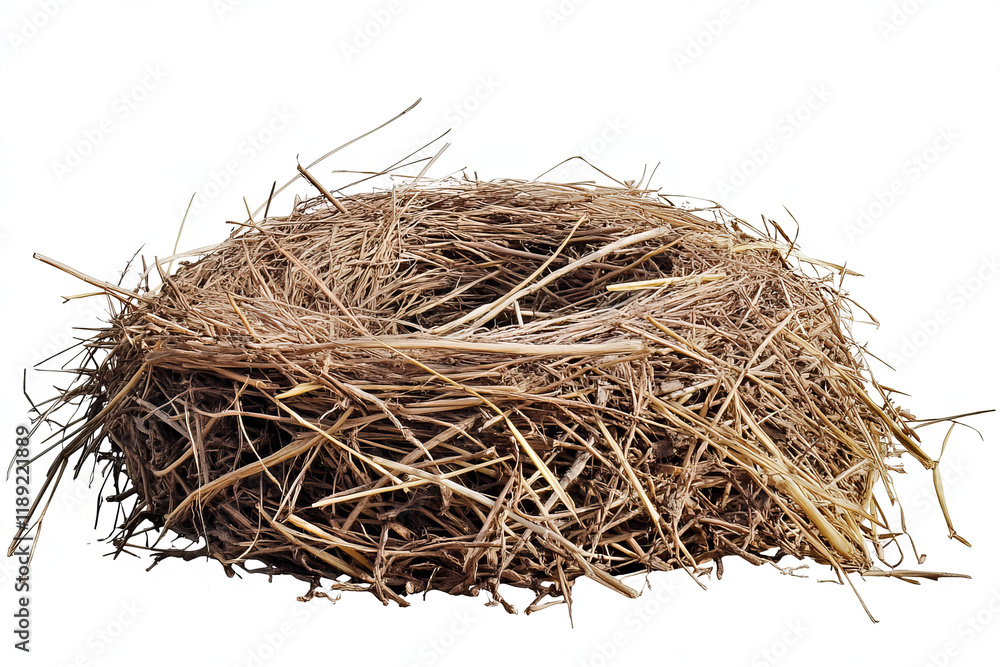 Obraz premium An empty bird's nest isolated on a transparent background. 