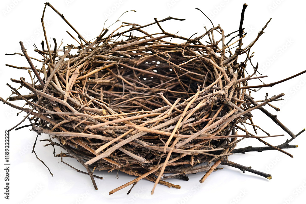 Obraz premium An empty bird's nest isolated on a transparent background. 
