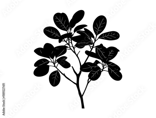 Manchineel tree silhouette vector illustration photo