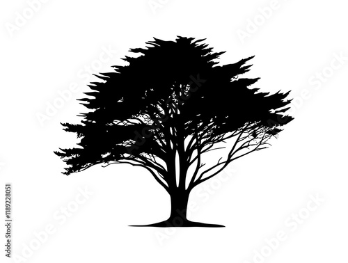 Monterey Cypress tree silhouette vector illustration