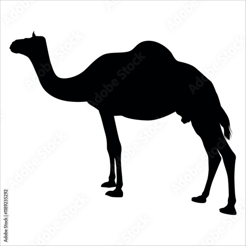 Black Camel Silhouette vector illustration