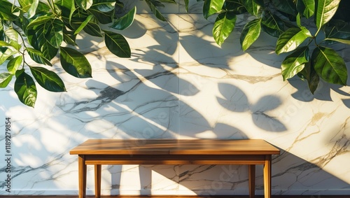 Summer interior with green leaves and marble wall photo