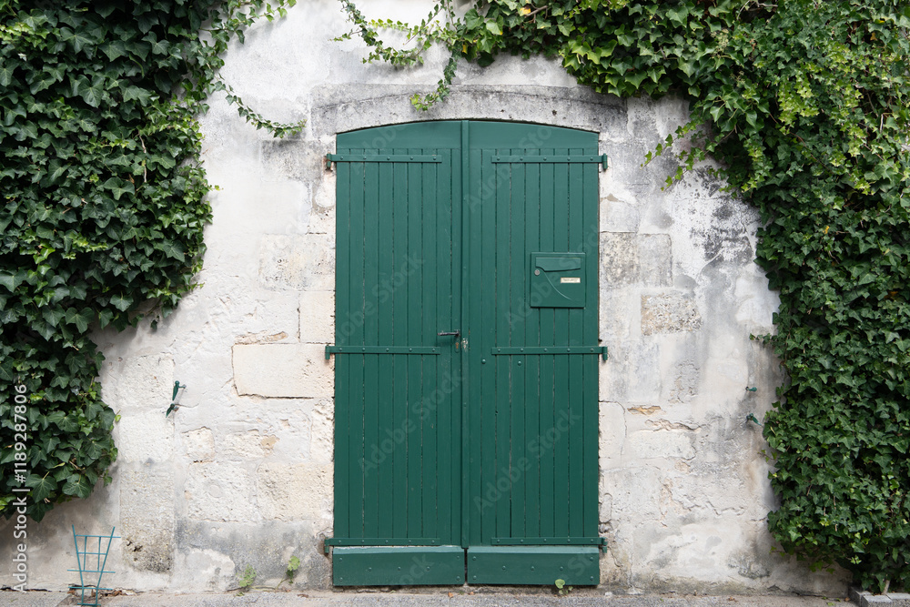 Fototapeta premium Porte verte dans le village de La Flotte sur l'île de Ré en France