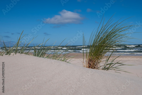 Słowiński Park Narodowy, Poland, Baltic sea