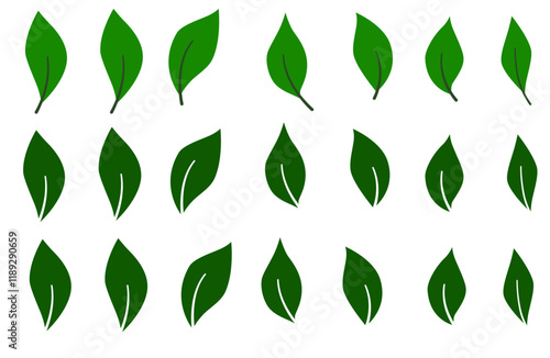 Leaf SVG