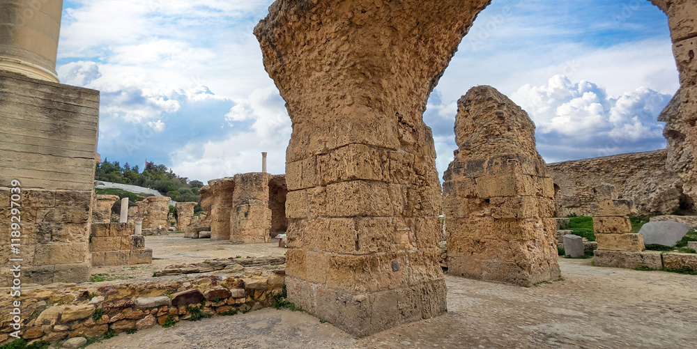Fototapeta premium Archaeological site of Carthage with ruins and greenery..