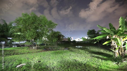 Nature video background of colorful sky with wind changes, sunlight from the sun and big trees around during travel. photo