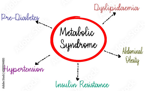 Conceptual Diagram Highlighting Metabolic Syndrome and Related Conditions