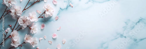 Elegant cherry blossoms on marble background with petals scattered