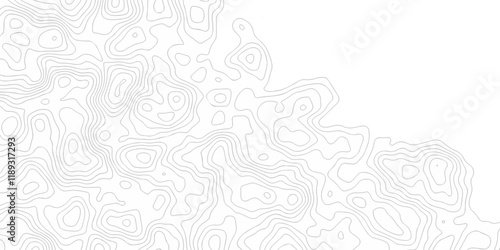 Abstract minimal The pattern discovery vector topo map creative discovery White wave grid stripe line map topography. vector geographic contour mounted map background.