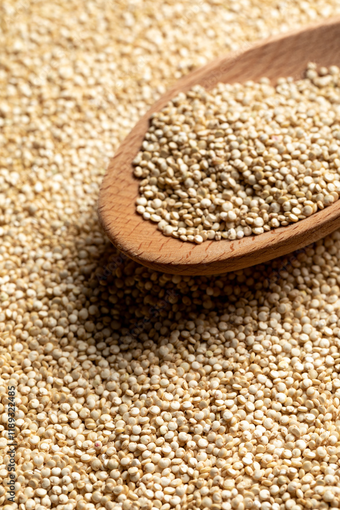 Quinoa seeds collected by a wooden spoon Quinoa seeds collected by a wooden spoon