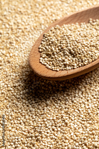 Quinoa seeds collected by a wooden spoon photo