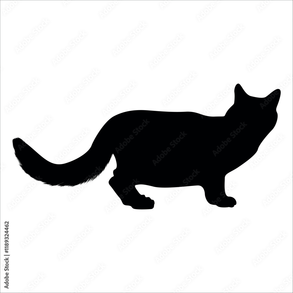 Animal Cat Silhouette vector illustration Animal Cat Silhouette vector illustration