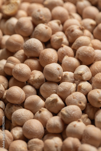 Close-up of chickpeas from Leon, Spain
