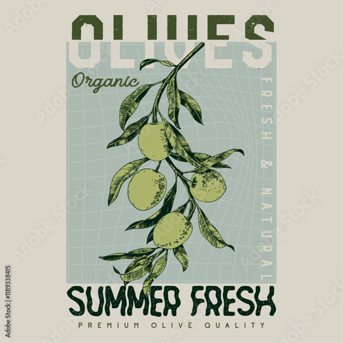 olives branch t shirt design. vintage fruit vector art, olive brunch hand drawn illustration, olives harvest graphic print, summer vintage t shirt design. vintage olives illustration typography