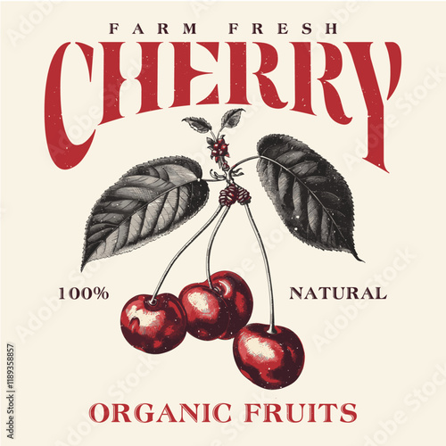 vector image of cherries written cherry sweet moment print style. Vector for silkscreen, dtg, dtf, t-shirts, signs, banners, Subimation Jobs or for any application. vintage graphics print art,