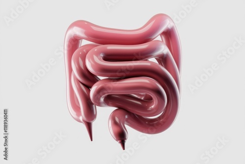 A 3D rendering of the human intestines, showcasing their complex structure and intertwined loops. photo