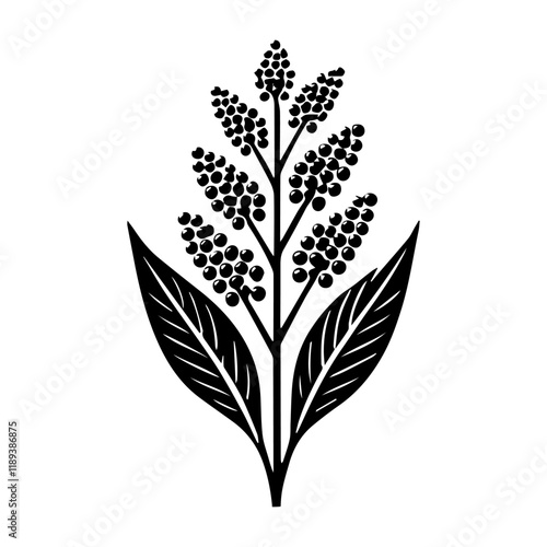 Simple Vector Icon of a quinoa – Logo Design Illustration