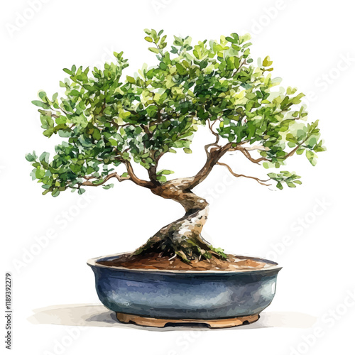 A watercolor vector painting of a Sandalwood bonsai, isolated on a white background. Sandalwood bonsai vector.

