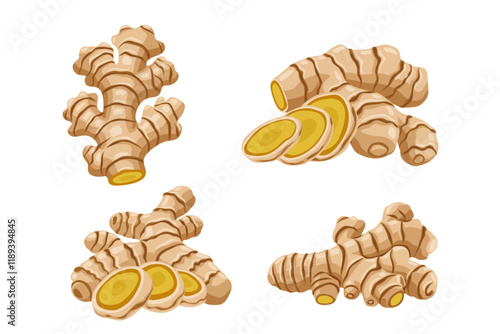set of ginger vector logo Isolated on white background.