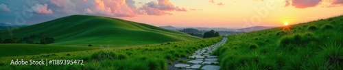 Wallpaper Mural Gentle slope of a green meadow at dusk with a stone path, landscape, hill, stone path Torontodigital.ca