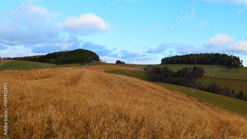 Bucklige Welt, Felder in Winterruhe photo