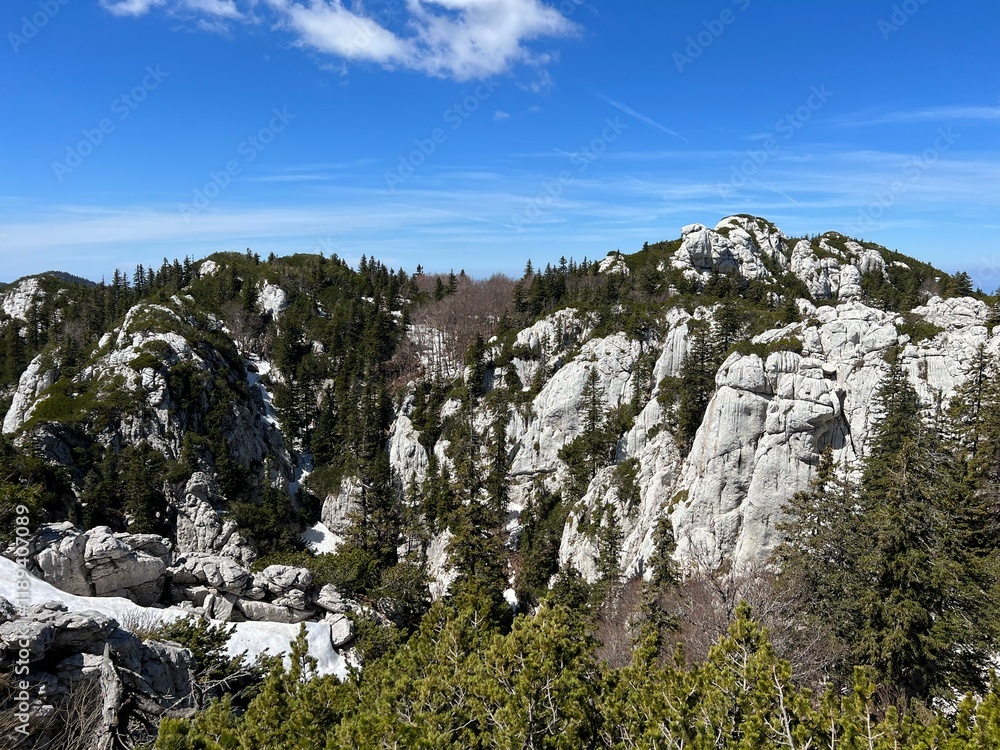 Strict reserve of rocky limestone peaks Hajducki and Rozanski kukovi - Northern Velebit National Park, Croatia (Strogi rezervat Hajdučki i Rožanski kukovi - Nacionalni park Sjeverni Velebit, Hrvatska) Strict reserve of rocky limestone peaks Hajducki and Rozanski kukovi - Northern Velebit National Park, Croatia (Strogi rezervat Hajdučki i Rožanski kukovi - Nacionalni park Sjeverni Velebit, Hrvatska)