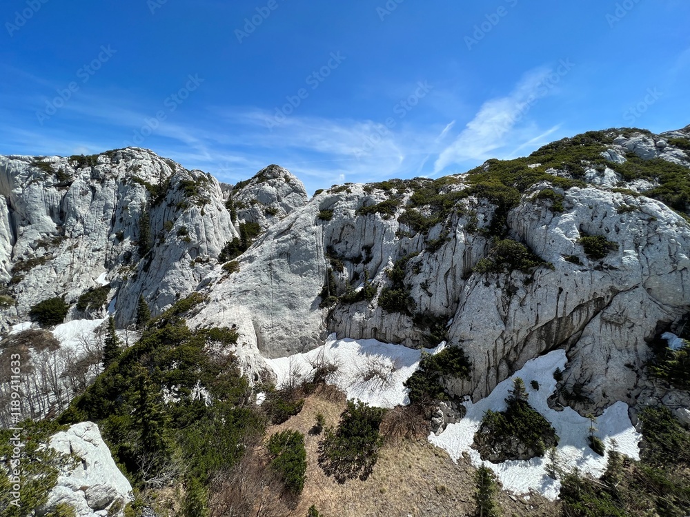 Strict reserve of rocky limestone peaks Hajducki and Rozanski kukovi - Northern Velebit National Park, Croatia (Strogi rezervat Hajdučki i Rožanski kukovi - Nacionalni park Sjeverni Velebit, Hrvatska) Strict reserve of rocky limestone peaks Hajducki and Rozanski kukovi - Northern Velebit National Park, Croatia (Strogi rezervat Hajdučki i Rožanski kukovi - Nacionalni park Sjeverni Velebit, Hrvatska)