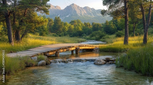 Wooden bridge crossing a clear stream in a tranquil forest setting during ear...