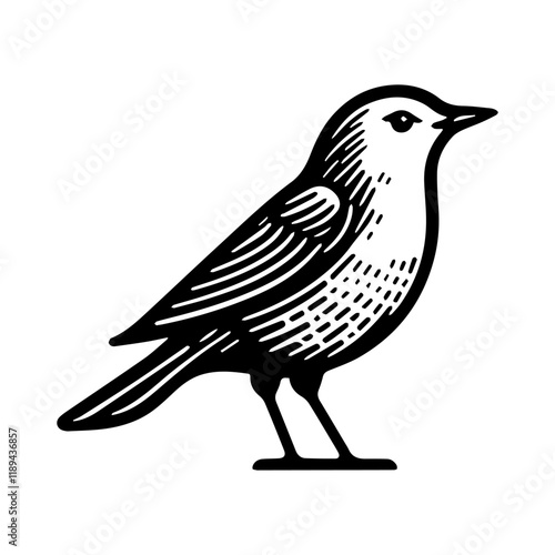 Simple Vector Icon of a Rhine Leuciscus – Logo Design Illustration