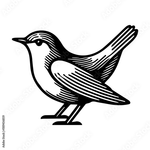 Simple Vector Icon of a Rhine Leuciscus – Logo Design Illustration