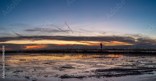 Wallpaper Mural Sunset around the Albufera of Valencia (Spain) Torontodigital.ca