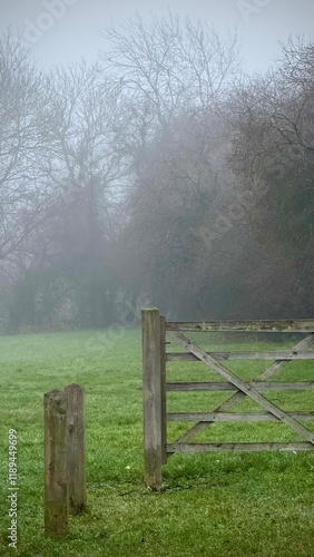  Foggy landscape with old wooden fence and trees in dense mist photo