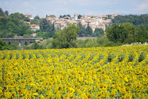 Panoramic view of chateau st arnoud-st auban in southern france in the spring with a blooming sunflower field