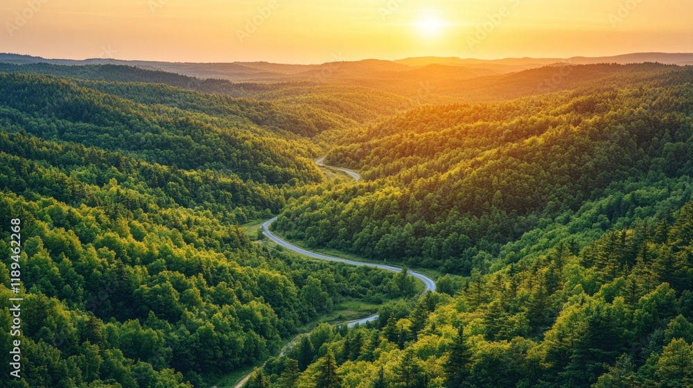Fototapeta premium Serene Forest Valley at Sunset with Winding Road - Perfect for Nature Retreats