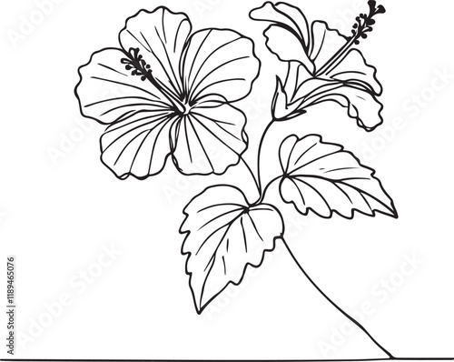 Graceful Hibiscus Flower Line Drawing Vector Art for Floral Lovers