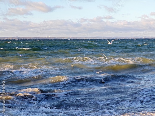 Wilde Ostsee photo