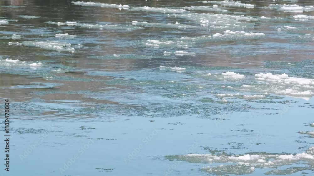 Drifting ice on broad river. Melting blocks quickly float on the water on sunny day Drifting ice on broad river. Melting blocks quickly float on the water on sunny day