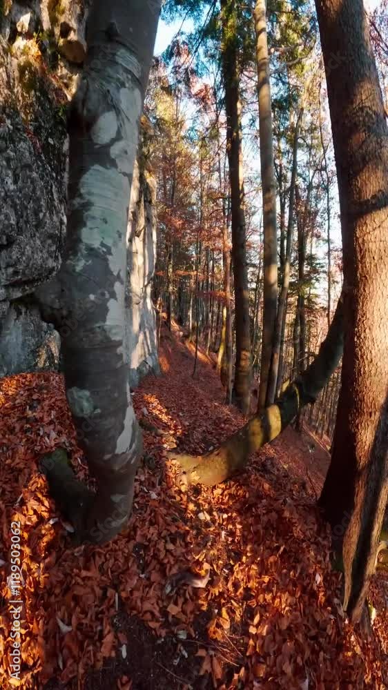 timelapse walk on mountain ridge in sunny autumn timelapse walk on mountain ridge in sunny autumn
