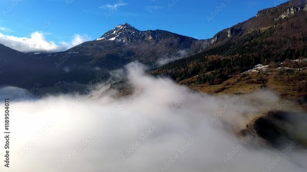 aerial view of a misty forest aerial view of a misty forest