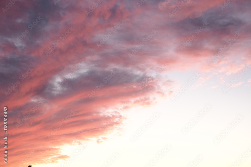 Fototapeta premium pink clouds