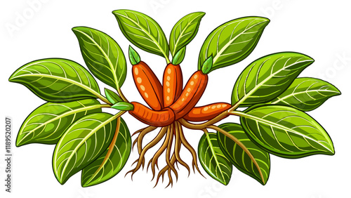 ashwagandha ayurvedic on white background