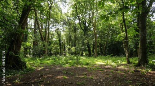 a tranquil forest glade bathed in dappled sunlight, with towering trees and lush foliage creating a peaceful oasis, white space in the center of the page for text