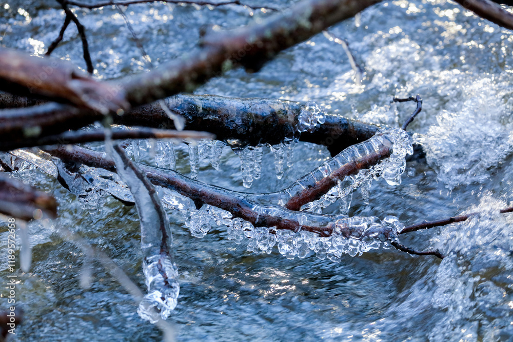 Fototapeta premium River and ice on branches flowing water nature background