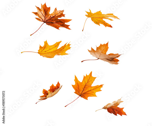 Autumn Leaves in Motion: A Vivid Display of Nature's Beauty , isolated on white background PNG